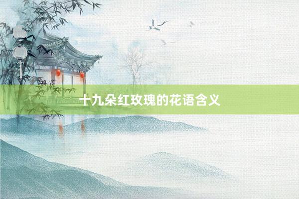 十九朵红玫瑰的花语含义
