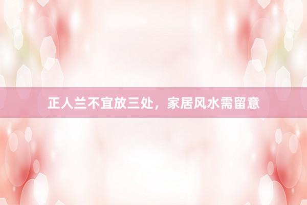 正人兰不宜放三处，家居风水需留意