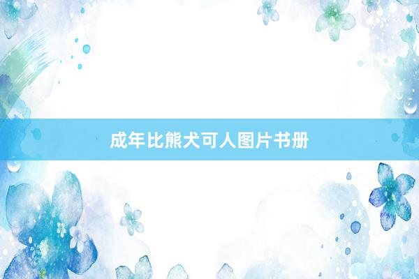 成年比熊犬可人图片书册