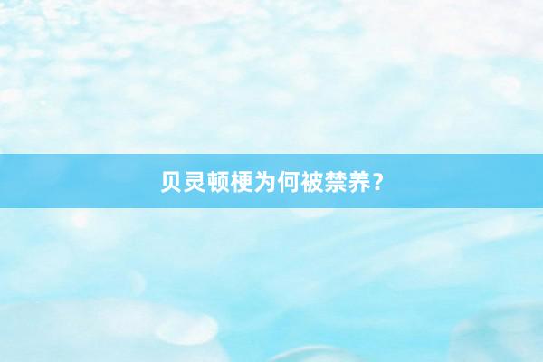 贝灵顿梗为何被禁养？
